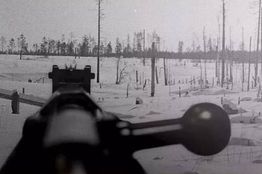 西蒙·海耶为何被称为二战的头号狙击手?