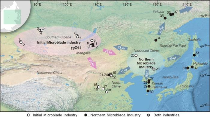 研究揭秘2.8万年来细石叶技术在中国东北“标准化”进程