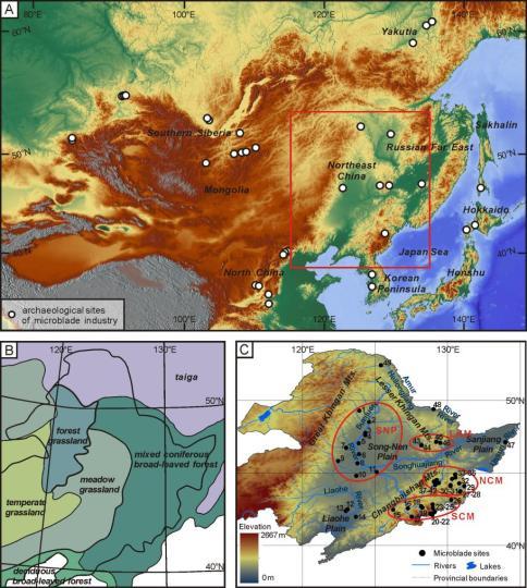 研究揭秘2.8万年来细石叶技术在中国东北“标准化”进程