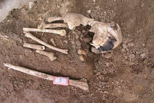 考古时候发现的遗骸会怎么处理?