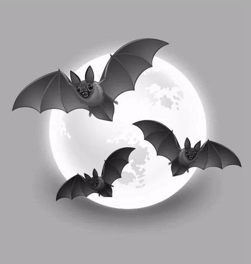 蝙蝠为什么会成为中国传统吉祥物的象征?