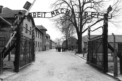 二战期间,德国如何判断哪个是犹太人哪个不是犹太人的?