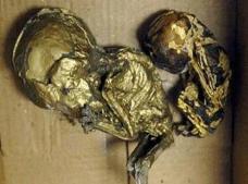 泰国镀金婴尸，用死去的婴儿做成吉祥物进行贩卖（惨无人道）