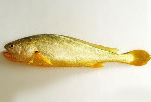 民国时期的金条”黄鱼“相当于现在多少钱?