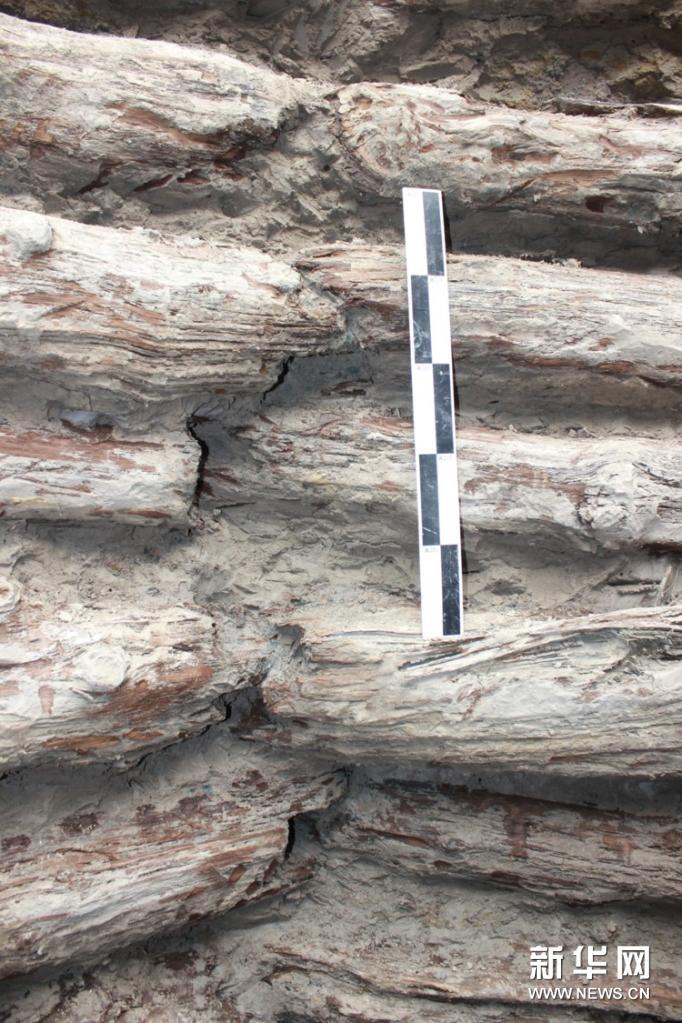 山西发现一口2000余年前的大型木构水井