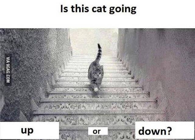 9GAG社区网站的神图考眼力：这只猫咪上楼还是下楼？