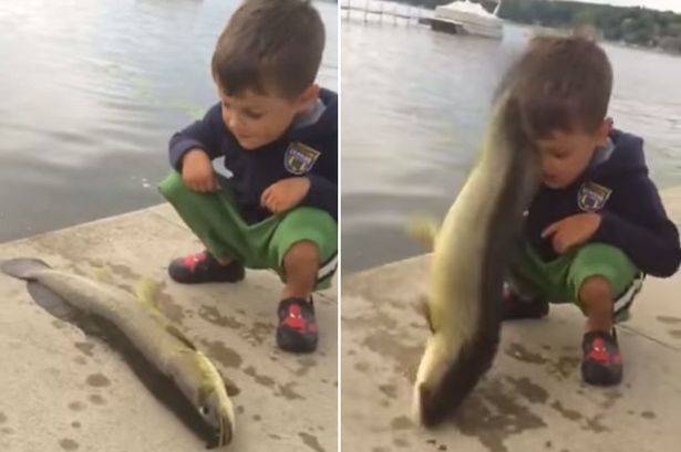 奄奄一息的鱼一跃而起用尾部重击旁边小男孩头部