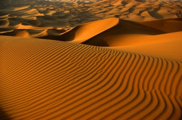 库姆塔格沙漠在哪个地方