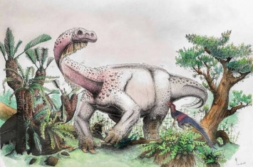 南非发现有史以来最大的恐龙——12吨重的Ledumahadi mafube