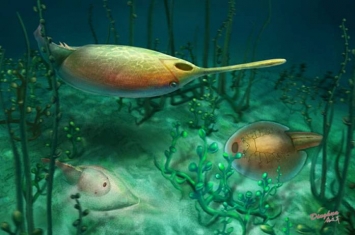 中国新疆塔里木盆地志留系发现最早的多鳃鱼类——锯齿宽腹鱼