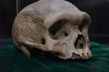 哈尔滨似海德堡人头骨化石发现始末