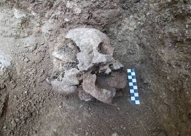 意大利翁布里亚1500年历史古墓中发现“卢加诺吸血鬼” 口塞石块防复活