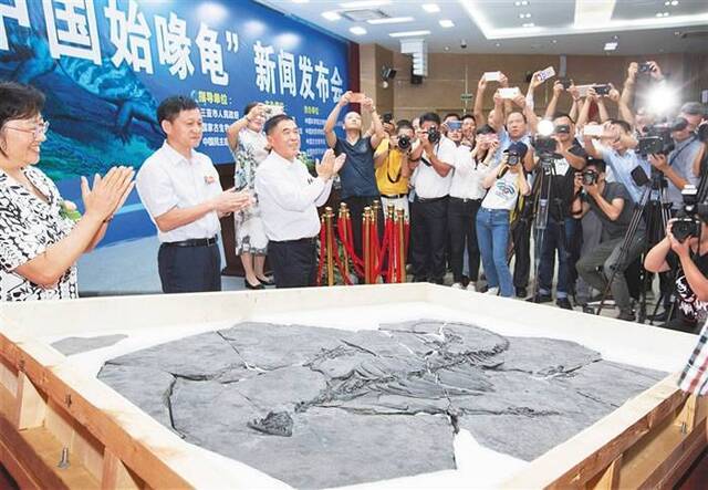 中国始喙龟化石被三亚海洋古生物博物馆作为“镇馆之宝”收藏