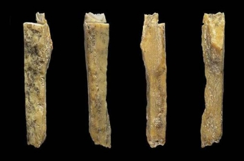 俄罗斯西伯利亚的丹尼索瓦洞穴发现另外4个原始人类的骨骼化石