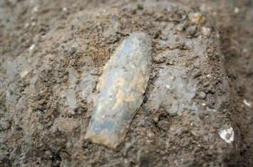 美国德克萨斯州发现的新款尖状投掷物或提示存在两个不同的进入北美的古人类群