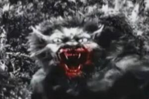 美国都市传说布雷路怪兽，能化身成人的嗜血狼人(图片)