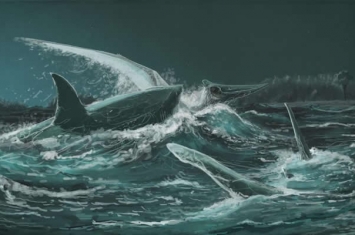 这不是电影画面！8300万年前史前鲨鱼曾猎食翼龙