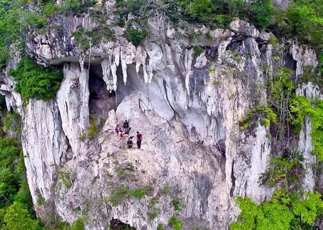 印尼婆罗洲洞穴发现4万年前动物壁画