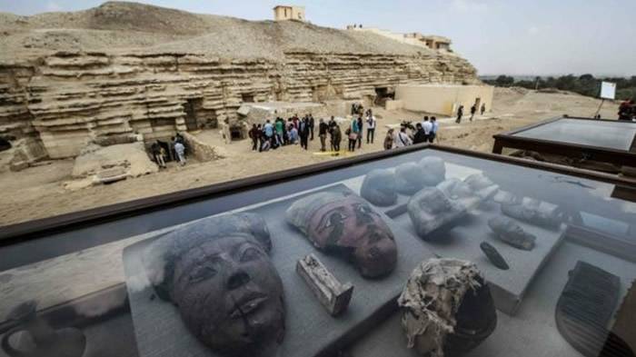 埃及金字塔群4000至6000多年前石棺发现大量动物木乃伊