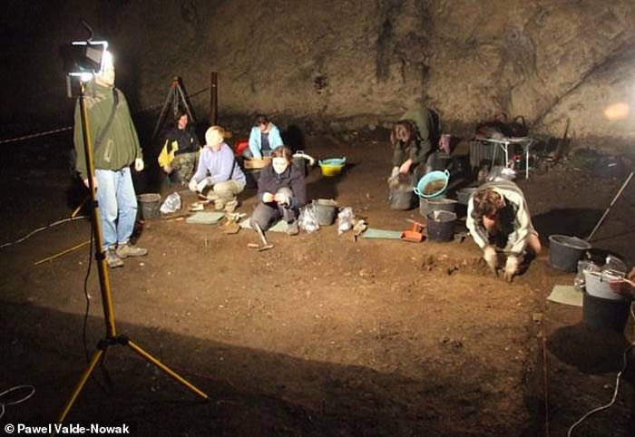 波兰洞穴中发现11.5万年前遭猛禽袭击吃掉的尼安德特人孩子的遗骸