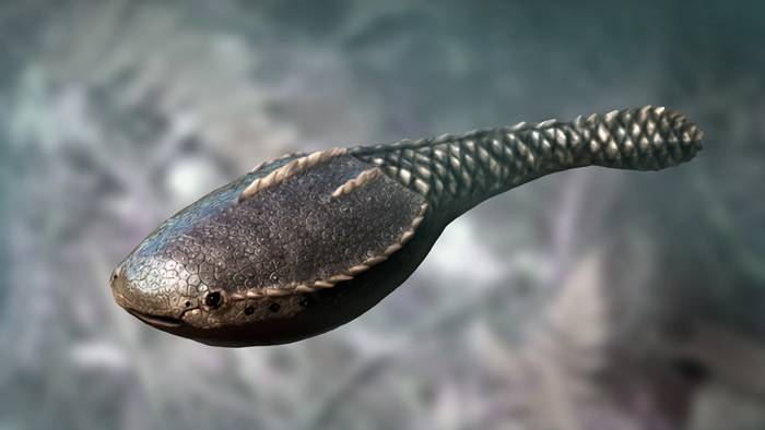 地球上第一批脊椎动物起源于浅水泻湖并在那里变得多彩多姿