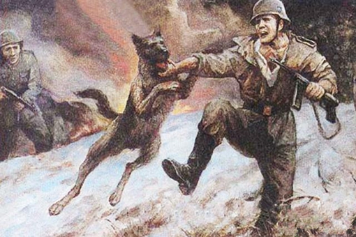 狗对人到底有多忠诚?一只经历过二战的军犬告诉你