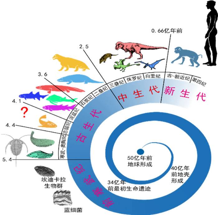 从古鱼类到人类的进化