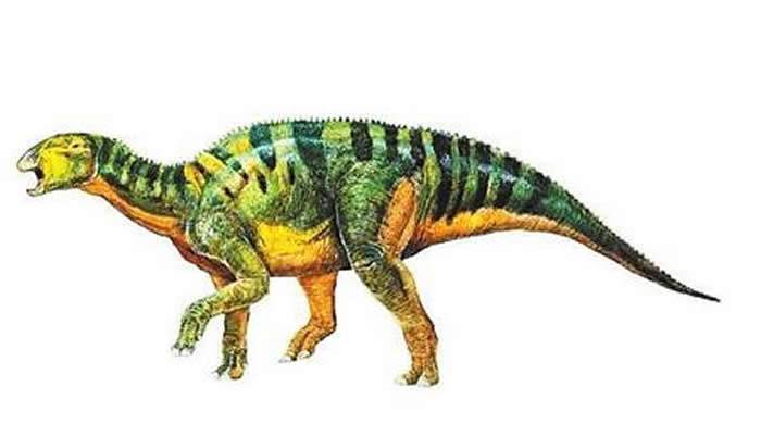 陇原大地上六千万年前的主宰——恐龙