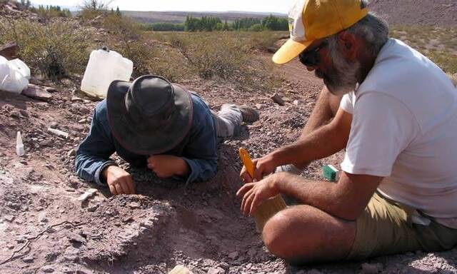 阿根廷内乌肯省发现1.1亿年前食草性恐龙