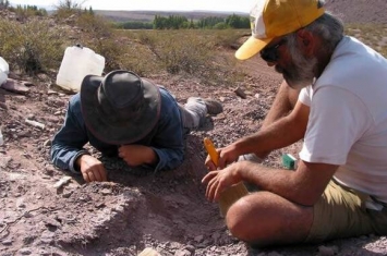 阿根廷内乌肯省发现1.1亿年前食草性恐龙