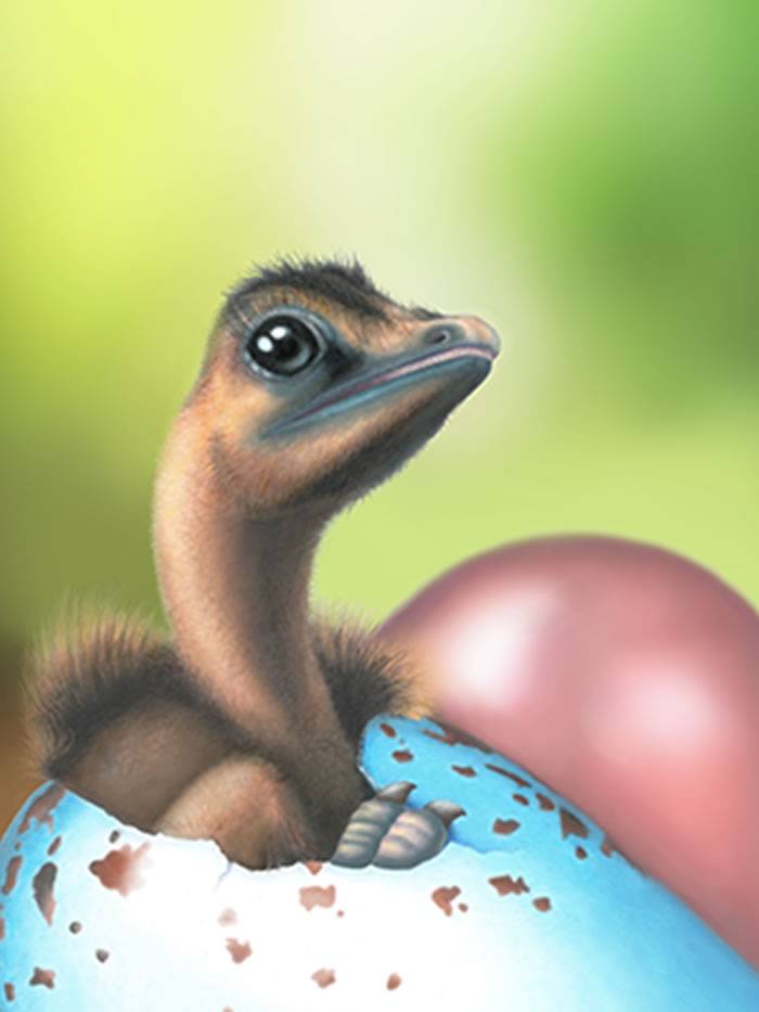 彩色蛋只演化出一次 现代鸟类的蛋壳色素沉着机制源自恐龙