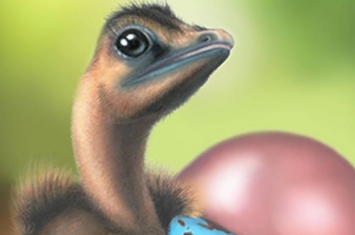 彩色蛋只演化出一次 现代鸟类的蛋壳色素沉着机制源自恐龙