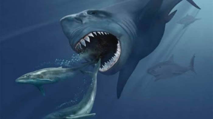 260万年前超新星爆发导致巨齿鲨等巨型海洋动物灭绝？