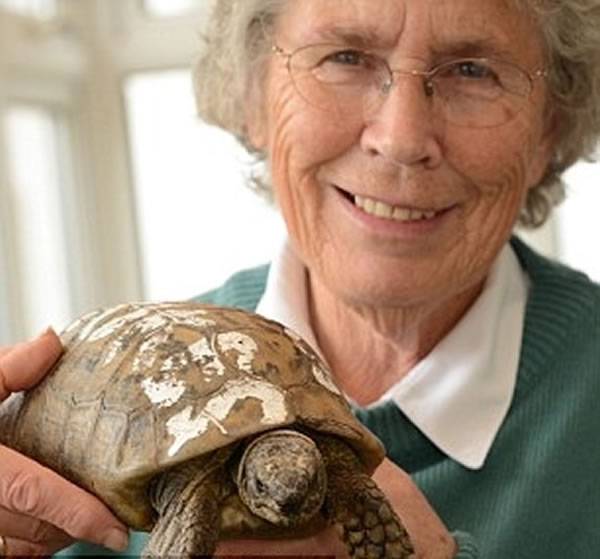 全因龟壳上有名 英国老妇与百岁老龟终团聚