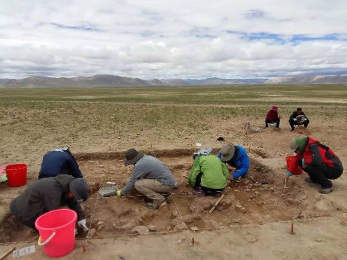 尼阿底遗址最新考古发现将人类首次登上青藏高原的历史推前到4万年前