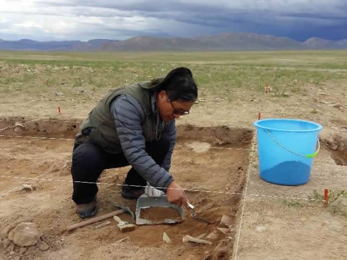 尼阿底遗址最新考古发现将人类首次登上青藏高原的历史推前到4万年前