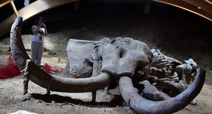 俄罗斯莫斯科州扎赖斯克遗址发现藏有宝藏的猛犸象头骨