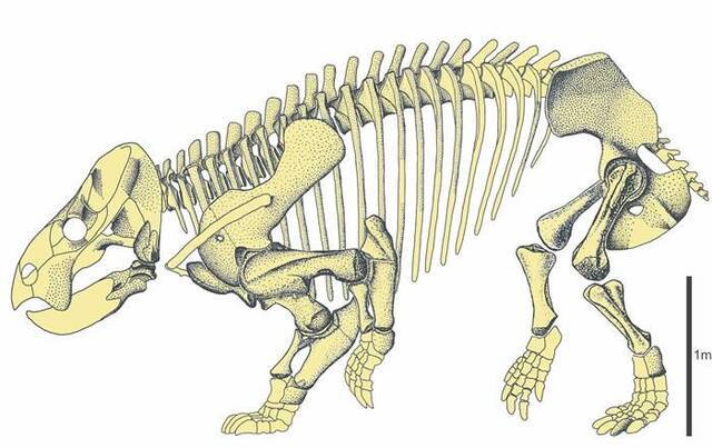 三叠世时期陆地上漫游的巨型食草动物不只有恐龙 哺乳动物祖先二齿兽也巨大