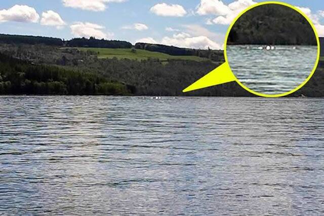 研究发现尼斯湖水怪可能真实存在 “水怪”究竟是什么东西？