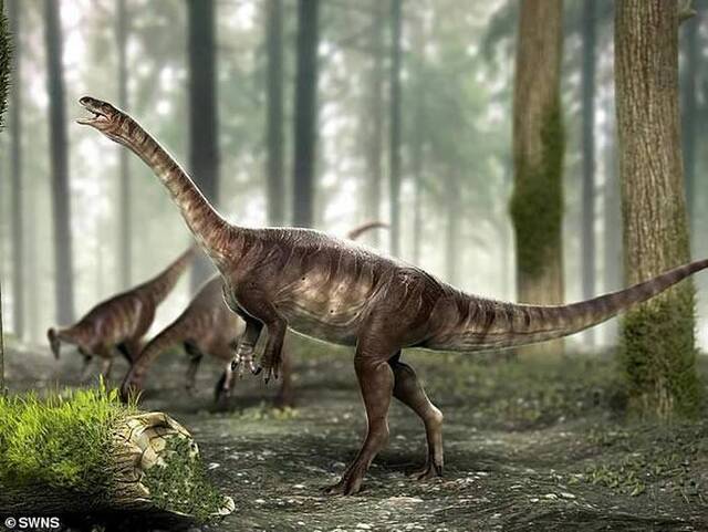 巴西发现2.25亿前长脖子恐龙