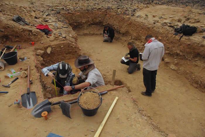 阿拉伯半岛发现阿舍利风格石器 现代人类祖先进入前其他古人类已进入该地区