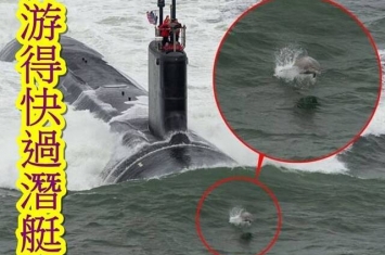 美国海军最新一艘维珍尼亚级核动力攻击潜艇约翰·华纳号海试获海豚开路护航