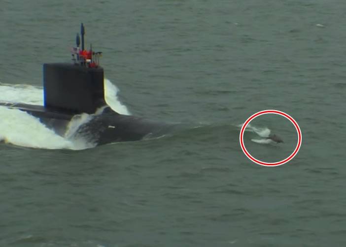 美国海军最新一艘维珍尼亚级核动力攻击潜艇约翰·华纳号海试获海豚开路护航