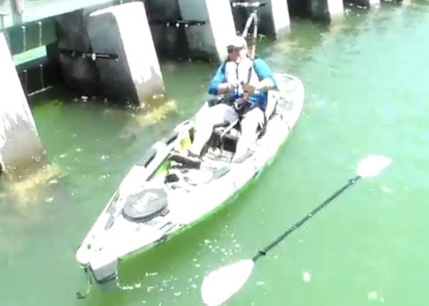 美国佛罗里达州男子划独木舟出海钓鱼 钓到“超级巨鱼”
