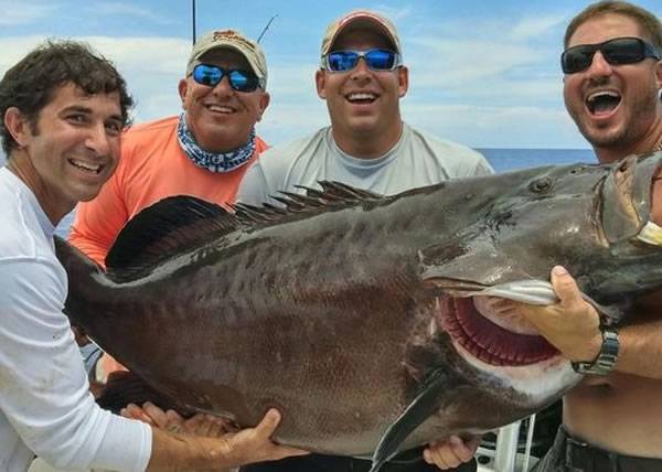 美国慈善钓鱼比赛钓起124磅石斑 或打破世界纪录