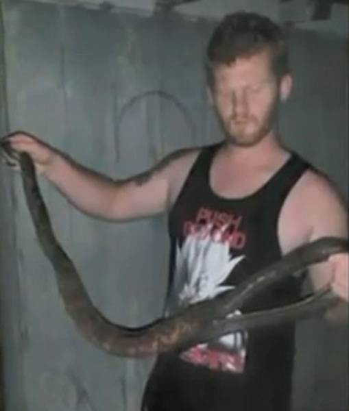 美国男子为6只珍珠鸡报仇把185公分大蛇烤来吃