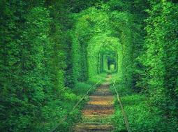 世界上最浪漫的隧道，乌克兰爱的隧道是受爱神青睐的情侣之地