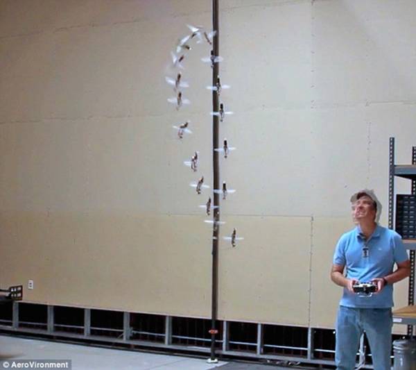 美国五角大楼研制出可以放入口袋的蜂鸟侦察机