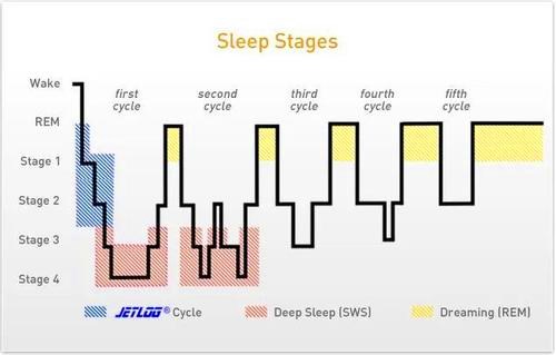 睡眠分期及各阶段特点