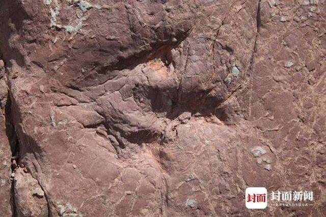 凉山州昭觉县再次发现大规模恐龙足迹化石群